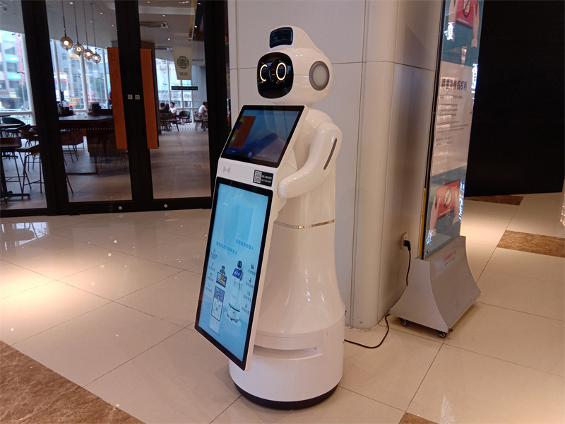 Prototype of shopping mall robot shell